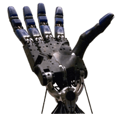 Robotic Hand