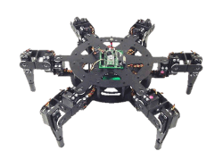 Robotic Spider