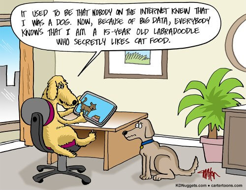 It used to be that nobody in the Internet knew that I was a dog. Now, because of big data, everybody knows that I am a 15-year-old labradoodle who secretly likes cat food.